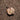 img_7553.jpeg