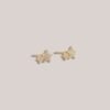 Orecchini DOUBLE STAR