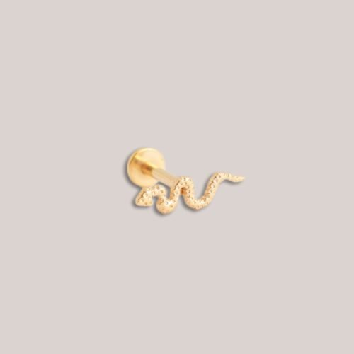 Piercing helix SNAKE